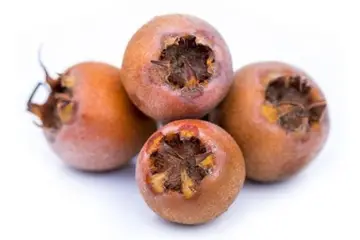 Muşmula Reçeli Tarifi ve Malzemeleri